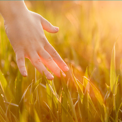 hand-touching-grass