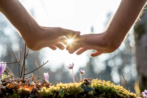 healing the world