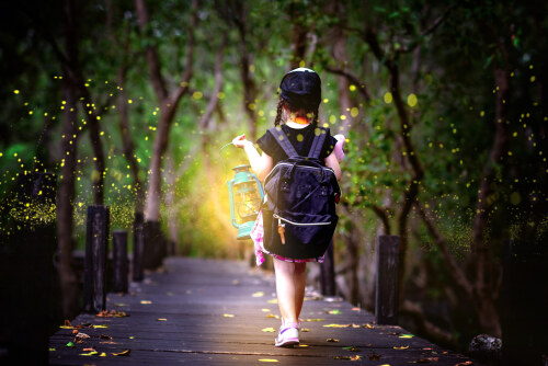 a little girl holding lamp light walks on the wooden bridge in the forest of fen marsh or bog see bundle of firefly in early dark of the night, field trip for a kids school learning the nature for preschool kids BOP